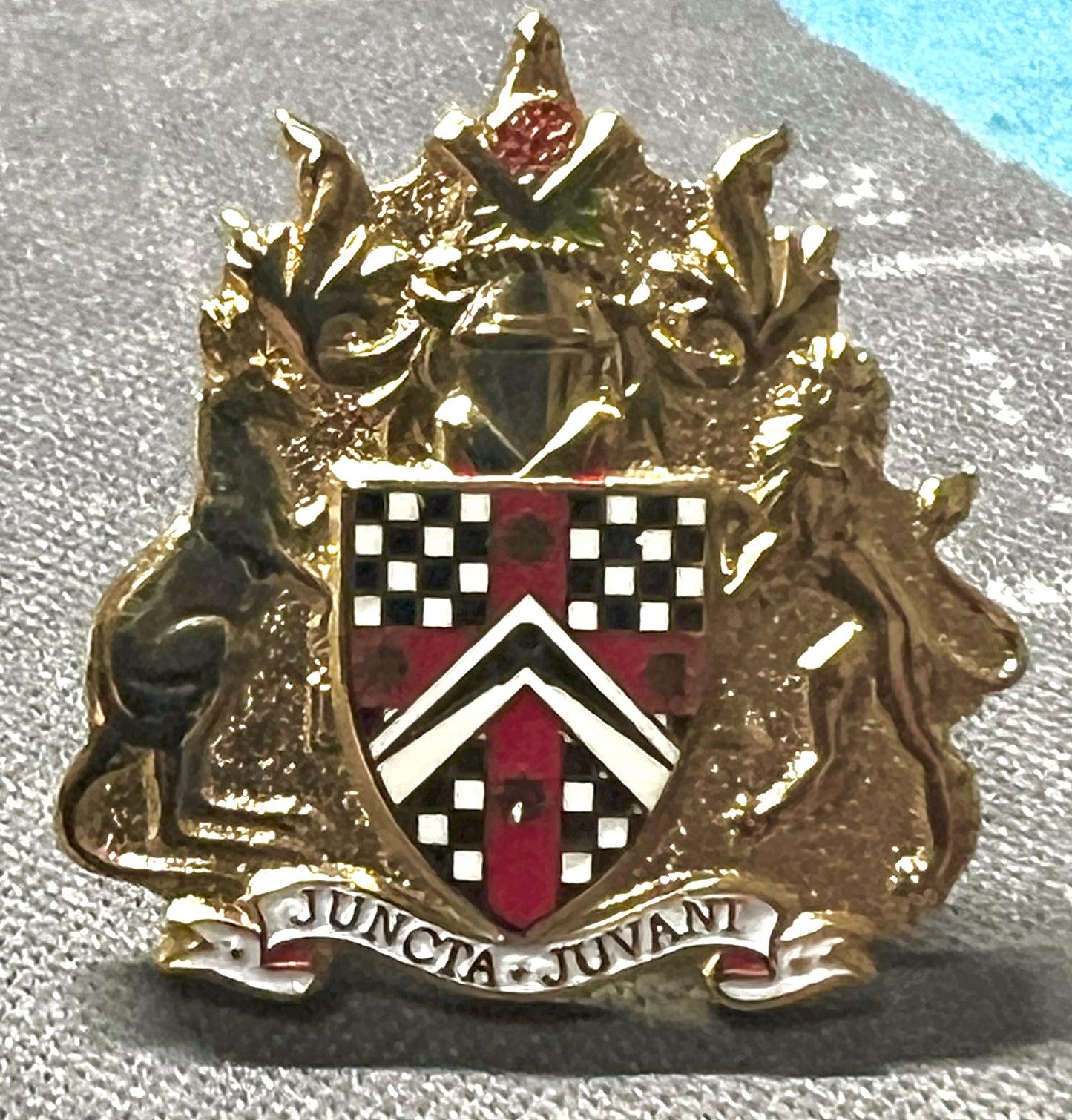 Lapel Pin- Coat of Arms